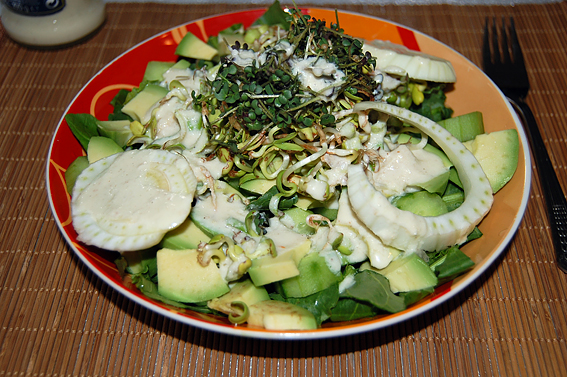 зелена салата с авокадо, фенел, кълнове